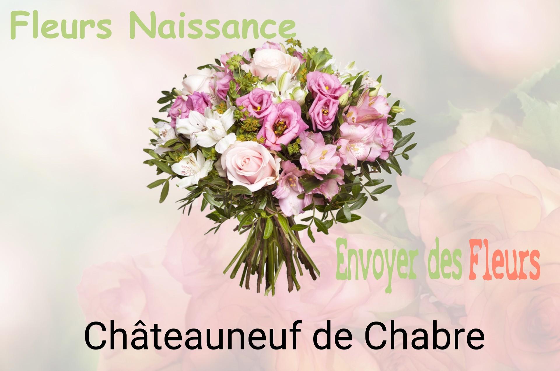 Bouquet de fleurs de naissance livré à Châteauneuf-de-Chabre