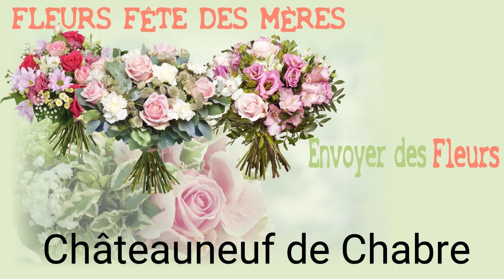 Bouquet de Fête des Mères livré à Châteauneuf-de-Chabre
